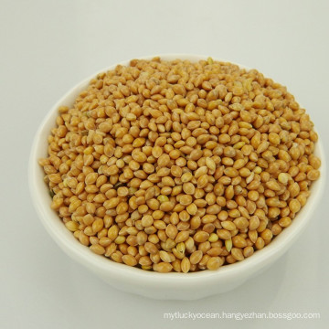 Chinese Yellow Broom Corn Millet For Sale